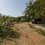 3 Bedroom In Lejlighed