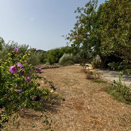 3 Bedroom Beautiful In Appartement